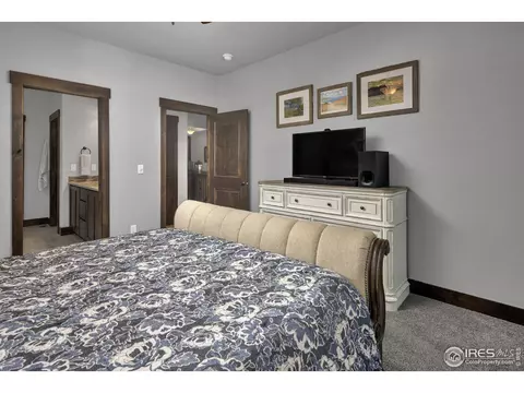 6006 Chantry Dr, Windsor, CO 80550 photo 17