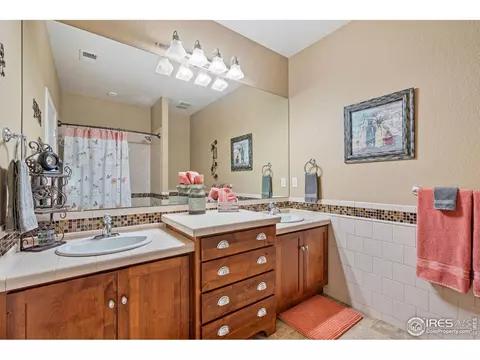 5725 Pineview Ct, Windsor, CO 80550 photo 25