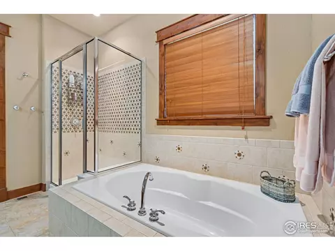 5725 Pineview Ct, Windsor, CO 80550 photo 22