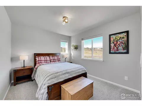 1976 Shadow Lake Dr, Windsor, CO 80550 photo 23