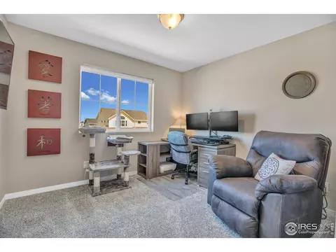 5472 Sequoia Pl, Frederick, CO 80504 photo 23