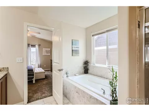 477 Wind River Dr, Windsor, CO 80550 photo 13