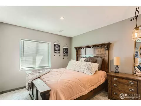 477 Wind River Dr, Windsor, CO 80550 photo 22