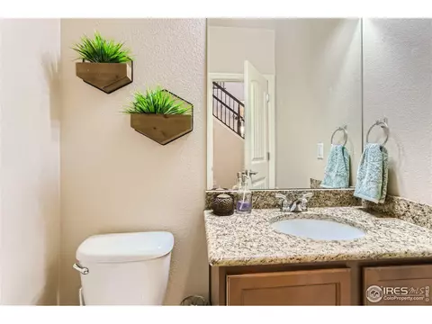 477 Wind River Dr, Windsor, CO 80550 photo 9