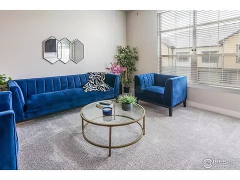 6582 Crystal Downs Dr #206, Windsor, CO 80550 photo 6