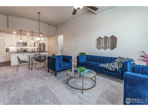 6582 Crystal Downs Dr #206, Windsor, CO 80550 photo 3