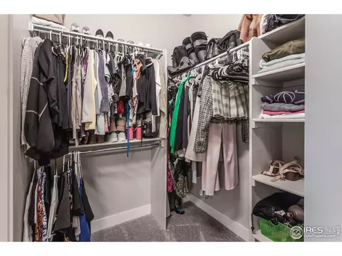 6582 Crystal Downs Dr #206, Windsor, CO 80550 photo 15