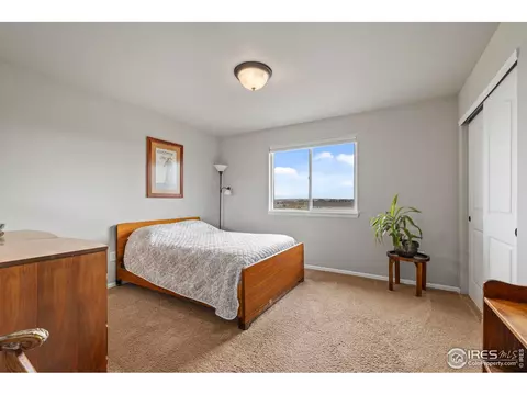 769 Corn Stalk Ct, Windsor, CO 80550 photo 18