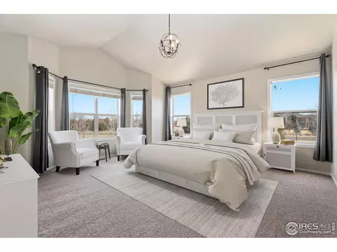 5288 Reef Ct, Windsor, CO 80528 photo 17