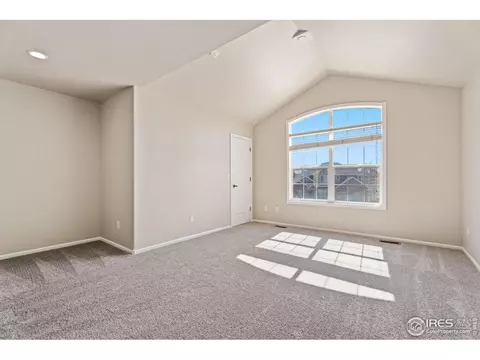 5288 Reef Ct, Windsor, CO 80528 photo 23
