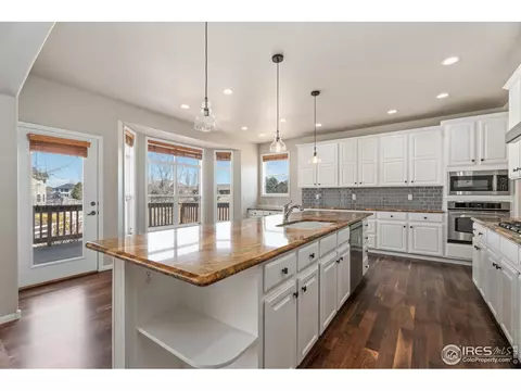 5288 Reef Ct, Windsor, CO 80528 photo 10