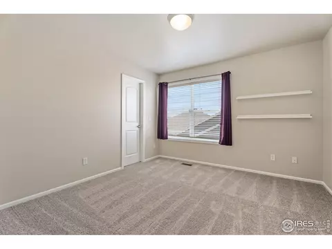 5288 Reef Ct, Windsor, CO 80528 photo 21