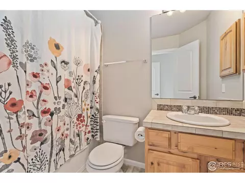 5288 Reef Ct, Windsor, CO 80528 photo 22