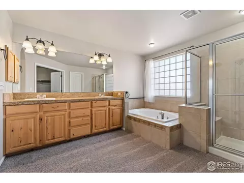 5288 Reef Ct, Windsor, CO 80528 photo 18