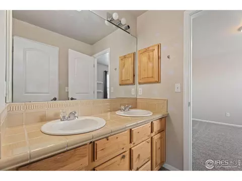 5288 Reef Ct, Windsor, CO 80528 photo 20