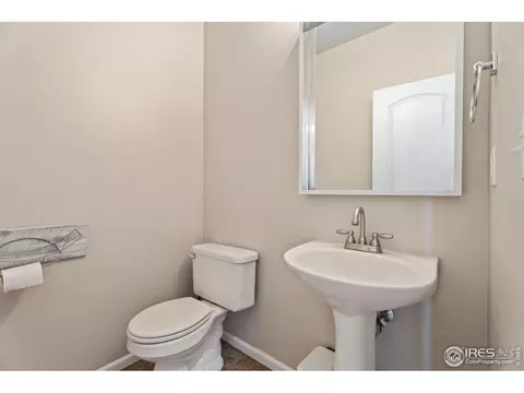 5288 Reef Ct, Windsor, CO 80528 photo 15