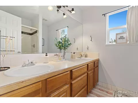 1117 Alpine Ct, Windsor, CO 80550 photo 5