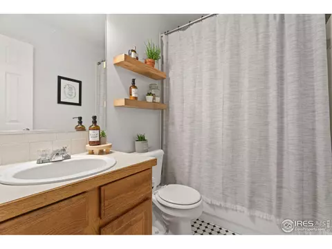 1117 Alpine Ct, Windsor, CO 80550 photo 8