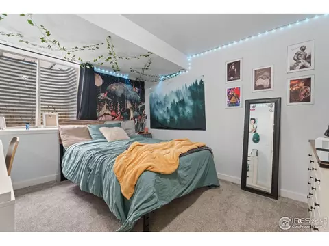 1117 Alpine Ct, Windsor, CO 80550 photo 12