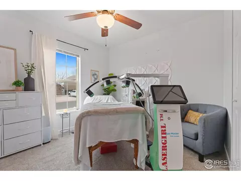1117 Alpine Ct, Windsor, CO 80550 photo 11
