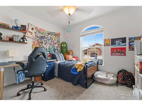 1117 Alpine Ct, Windsor, CO 80550 photo 6