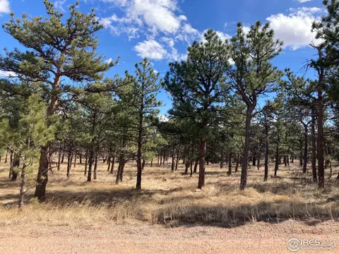 0 Sandstone Dr, Lyons, CO 80540 photo 9