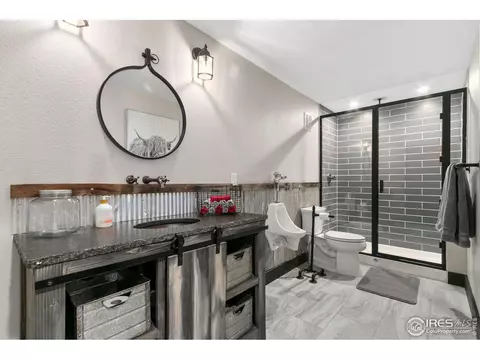 8270 Albacore Ct, Windsor, CO 80528 photo 36