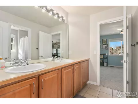 8270 Albacore Ct, Windsor, CO 80528 photo 28