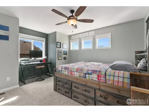 8270 Albacore Ct, Windsor, CO 80528 photo 27