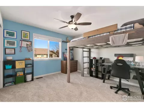8270 Albacore Ct, Windsor, CO 80528 photo 29