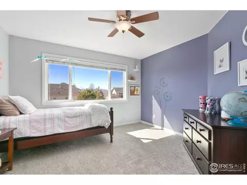 8270 Albacore Ct, Windsor, CO 80528 photo 26