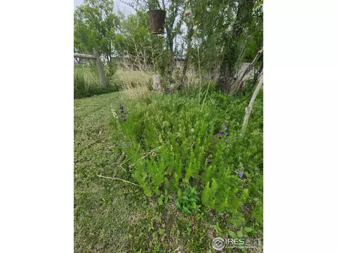 19652 County Road 26, Sterling, CO 80751 photo 37