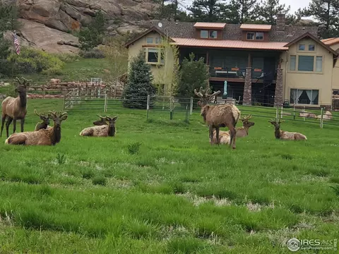 925 Lake Dr, Lyons, CO 80540 photo 16