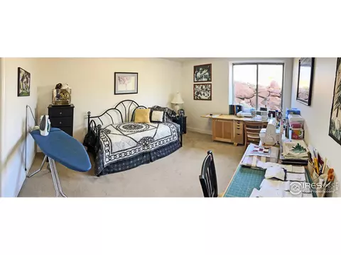 925 Lake Dr, Lyons, CO 80540 photo 35