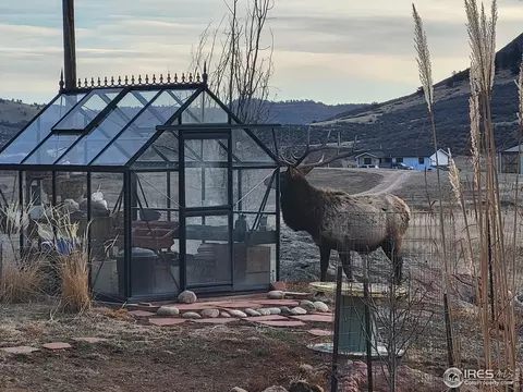 925 Lake Dr, Lyons, CO 80540 photo 15