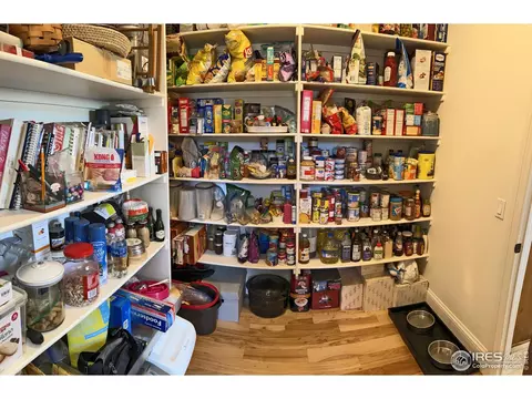 925 Lake Dr, Lyons, CO 80540 photo 21