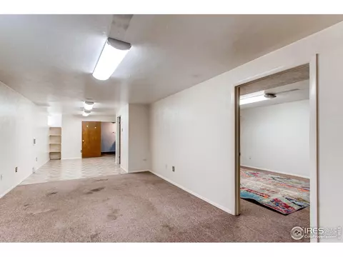 3367 E 117th Pl, Thornton, CO 80233 photo 24