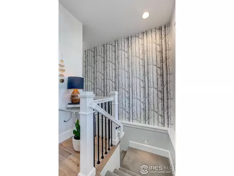 6447 Sanctuary Dr, Windsor, CO 80550 photo 28