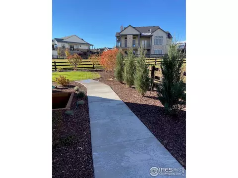 6447 Sanctuary Dr, Windsor, CO 80550 photo 39
