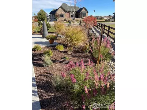 6447 Sanctuary Dr, Windsor, CO 80550 photo 37