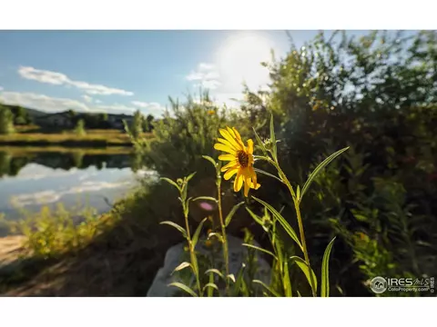 310 Mcconnell Dr, Lyons, CO 80540 photo 36