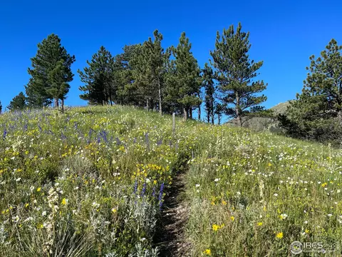 8323 W Fork Rd, Boulder, CO 80302 photo 35