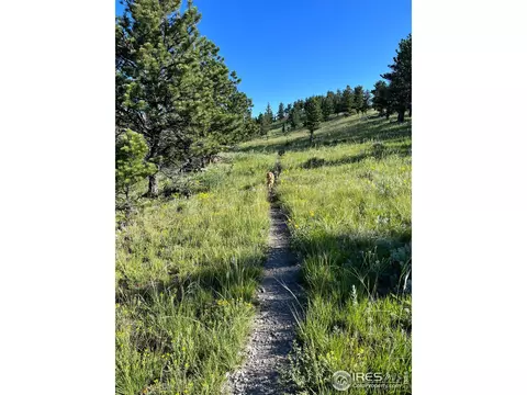 8323 W Fork Rd, Boulder, CO 80302 photo 34