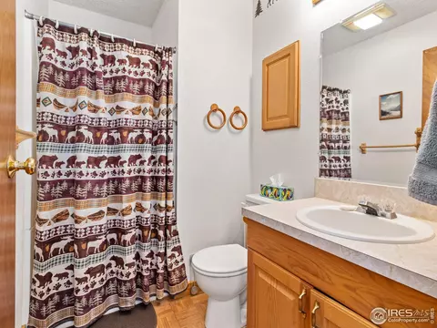 364 Taylor Rd, Lyons, CO 80540 photo 16