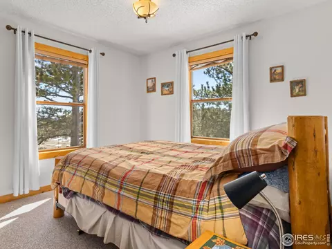 364 Taylor Rd, Lyons, CO 80540 photo 8