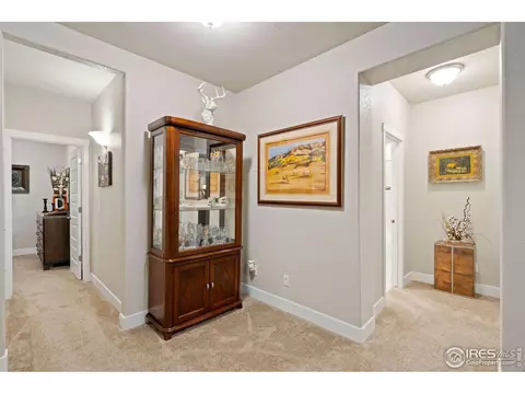 2179 Day Spring Dr, Windsor, CO 80550 photo 26