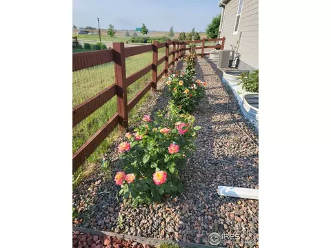 2179 Day Spring Dr, Windsor, CO 80550 photo 37