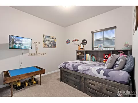 2179 Day Spring Dr, Windsor, CO 80550 photo 19