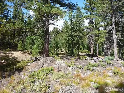98 Crestridge Rd, Jamestown, CO 80455 photo 16
