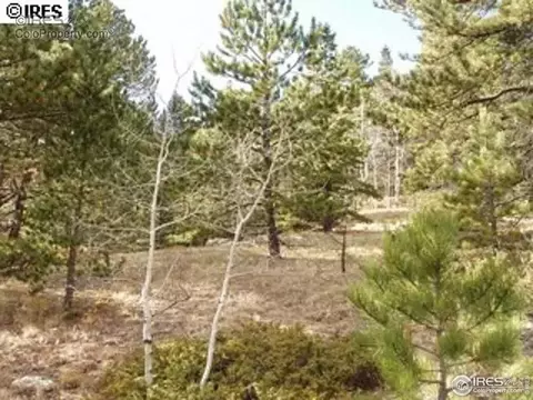 98 Crestridge Rd, Jamestown, CO 80455 photo 13